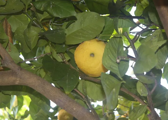 St. John 4* רומא